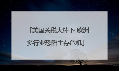 美国关税大棒下 欧洲多行业恐陷生存危机