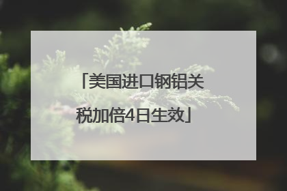 美国进口钢铝关税加倍4日生效