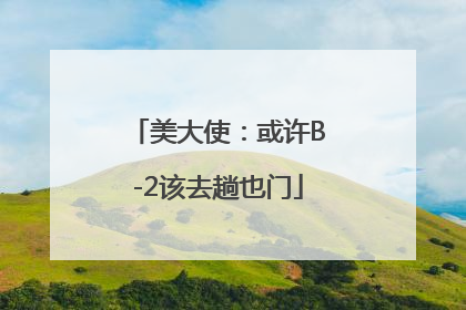 美大使：或许B-2该去趟也门