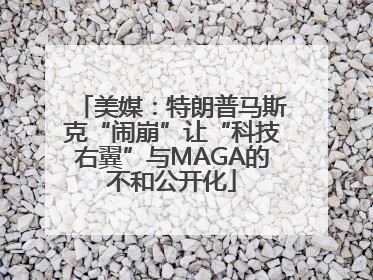 美媒：特朗普马斯克“闹崩”让“科技右翼”与MAGA的不和公开化