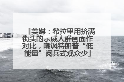 美媒：希拉里用挤满街头的示威人群画面作对比，嘲讽特朗普“低能量”阅兵式观众少