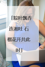 粽叶飘香连湘吐 石榴花开共此时