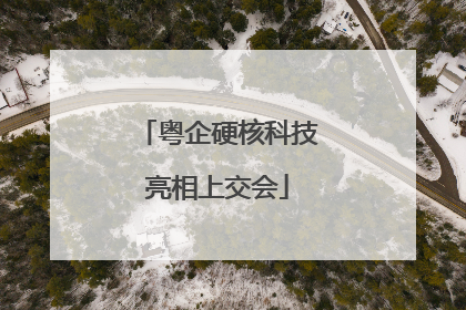 粤企硬核科技亮相上交会
