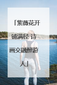 紫薇花开铺满径 诗画交融醉游人