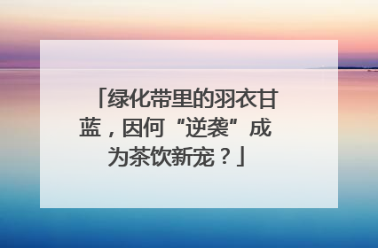 绿化带里的羽衣甘蓝，因何“逆袭”成为茶饮新宠？