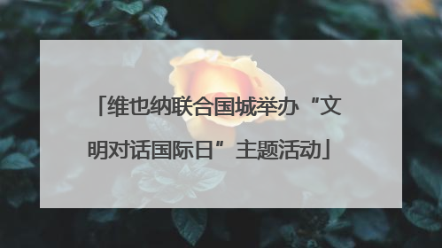 维也纳联合国城举办“文明对话国际日”主题活动
