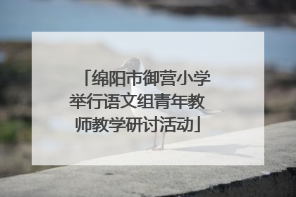绵阳市御营小学举行语文组青年教师教学研讨活动