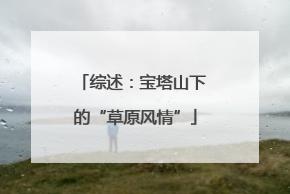 综述：宝塔山下的“草原风情”