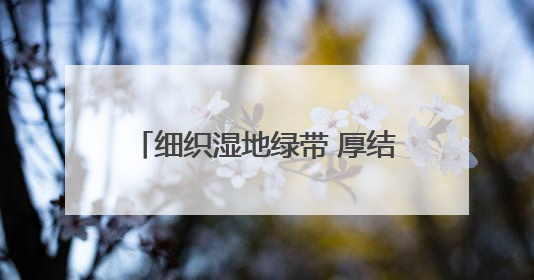 细织湿地绿带 厚结“文旅明珠”——中法武汉生态示范城挖掘绿色发展新动能