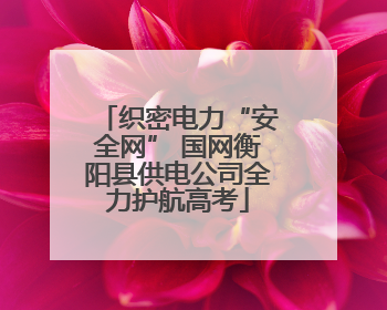 织密电力“安全网” 国网衡阳县供电公司全力护航高考