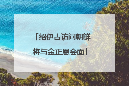 绍伊古访问朝鲜 将与金正恩会面