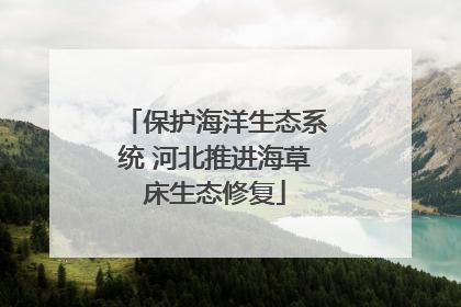 保护海洋生态系统 河北推进海草床生态修复