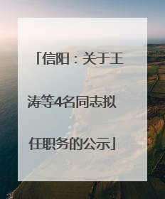 信阳：关于王涛等4名同志拟任职务的公示
