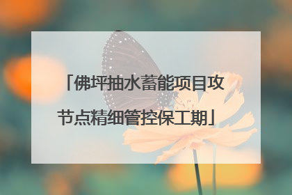 佛坪抽水蓄能项目攻节点精细管控保工期