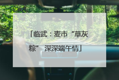 临武：麦市“草灰粽” 深深端午情