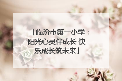 临汾市第一小学：阳光心灵伴成长 快乐成长筑未来