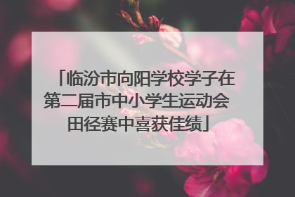 临汾市向阳学校学子在第二届市中小学生运动会田径赛中喜获佳绩