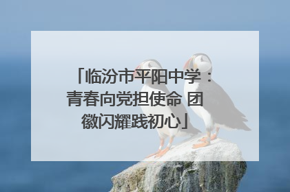临汾市平阳中学：青春向党担使命 团徽闪耀践初心