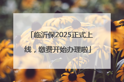 临沂保2025正式上线，缴费开始办理啦