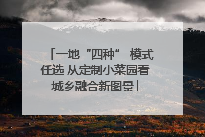 一地“四种” 模式任选 从定制小菜园看城乡融合新图景