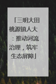 三明大田桃源镇人大：推动河流治理，筑牢生态屏障