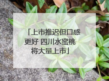 上市推迟但口感更好 四川水蜜桃将大量上市