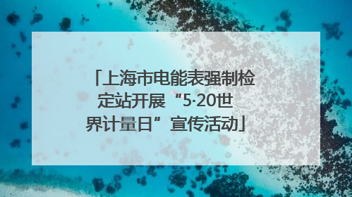 上海市电能表强制检定站开展“5·20世界计量日”宣传活动