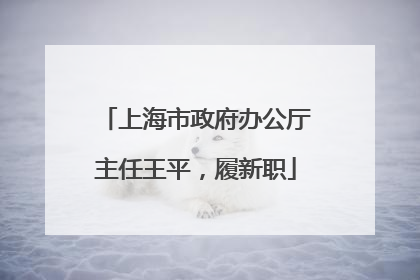 上海市政府办公厅主任王平，履新职