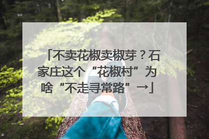 不卖花椒卖椒芽？石家庄这个“花椒村”为啥“不走寻常路”→