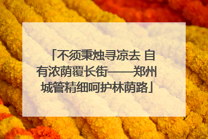 不须秉烛寻凉去 自有浓荫覆长街——郑州城管精细呵护林荫路