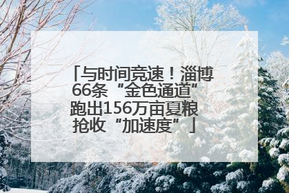 与时间竞速！淄博66条“金色通道”跑出156万亩夏粮抢收“加速度”