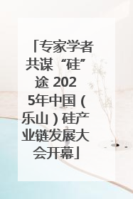 专家学者共谋“硅”途 2025年中国（乐山）硅产业链发展大会开幕