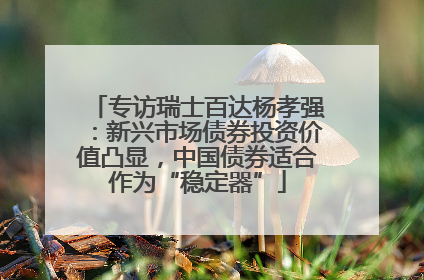 专访瑞士百达杨孝强：新兴市场债券投资价值凸显，中国债券适合作为“稳定器”