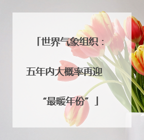 世界气象组织：五年内大概率再迎“最暖年份”