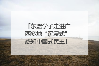 东盟学子走进广西多地“沉浸式”感知中国式民主