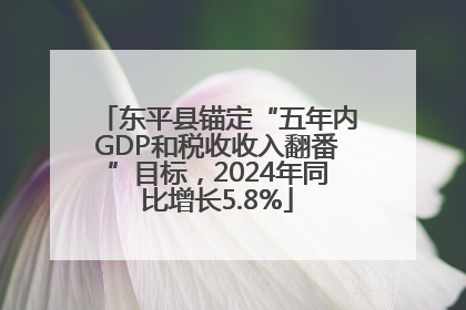 东平县锚定“五年内GDP和税收收入翻番”目标，2024年同比增长5.8%
