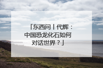 东西问丨代辉：中国恐龙化石如何对话世界？