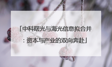 中科曙光与海光信息拟合并：资本与产业的双向奔赴