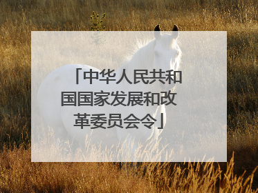 中华人民共和国国家发展和改革委员会令