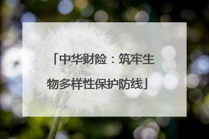 中华财险：筑牢生物多样性保护防线
