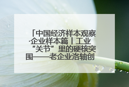中国经济样本观察·企业样本篇丨工业“关节”里的硬核突围——老企业洛轴创新蝶变启示录