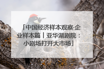中国经济样本观察·企业样本篇︱亚华湖剧院：小剧场打开大市场