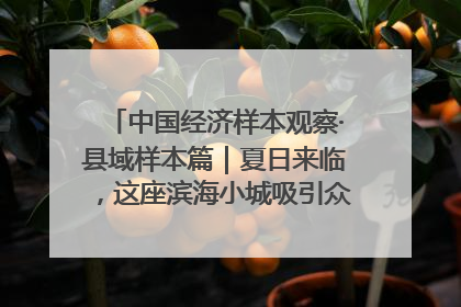 中国经济样本观察·县域样本篇｜夏日来临，这座滨海小城吸引众多年轻人打卡……