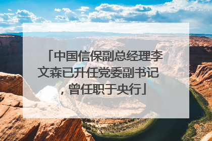 中国信保副总经理李文森已升任党委副书记，曾任职于央行