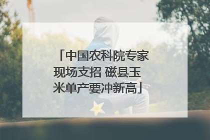 中国农科院专家现场支招 磁县玉米单产要冲新高