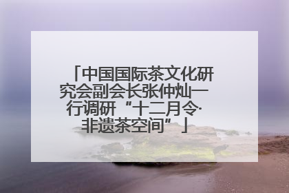 中国国际茶文化研究会副会长张仲灿一行调研“十二月令·非遗茶空间”