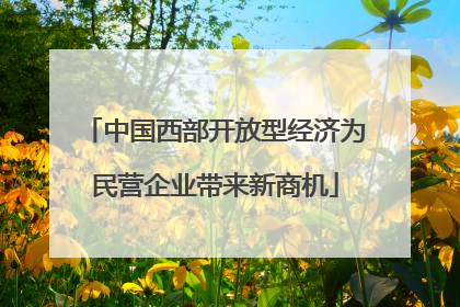 中国西部开放型经济为民营企业带来新商机