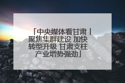 中央媒体看甘肃丨聚焦集群建设 加快转型升级 甘肃支柱产业增势强劲