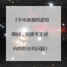 中央巡视组进驻期间，吴建平主动向组织交代问题
