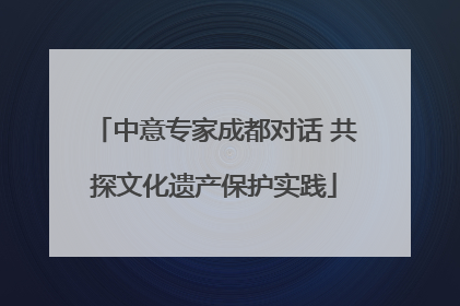 中意专家成都对话 共探文化遗产保护实践